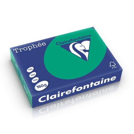 Gekleurd papier Clairefontaine - A4 160gr dennengroen